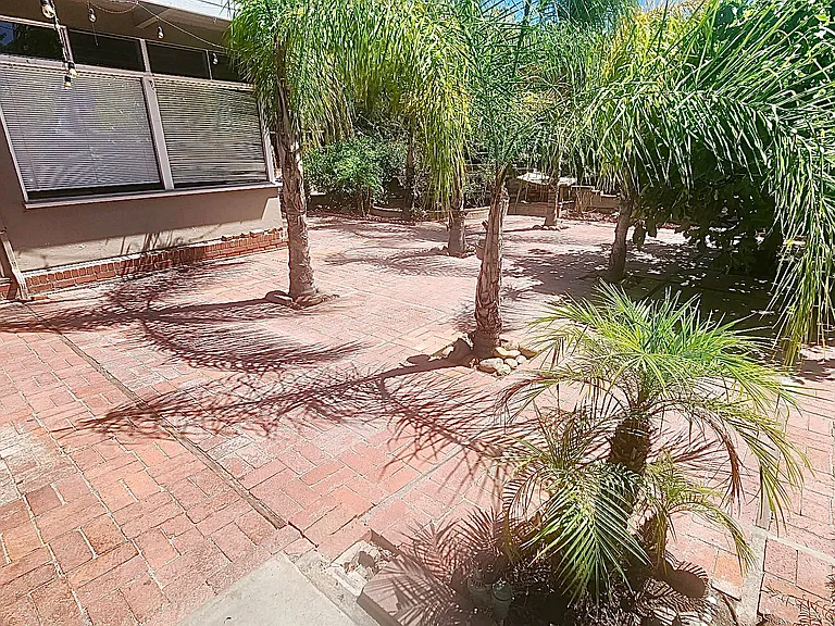 Yard and patio