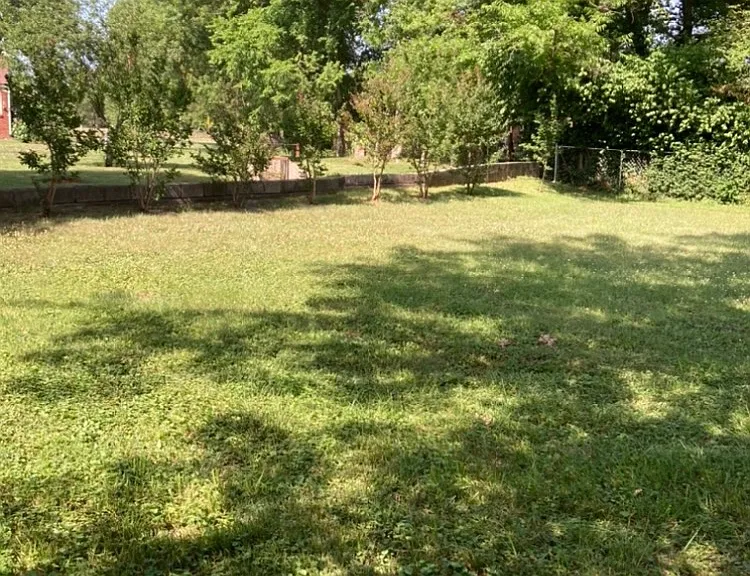 1110 Bell Grimes Ln — Photo 4