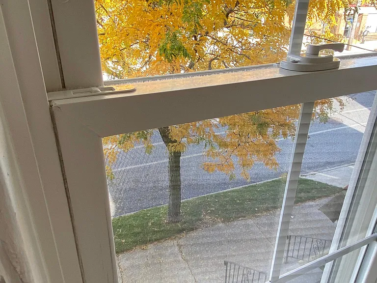 Vinyl Windows