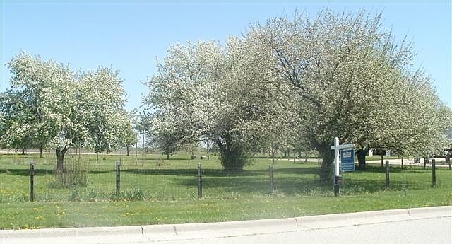 2nd image of 420 Rockshire Dr