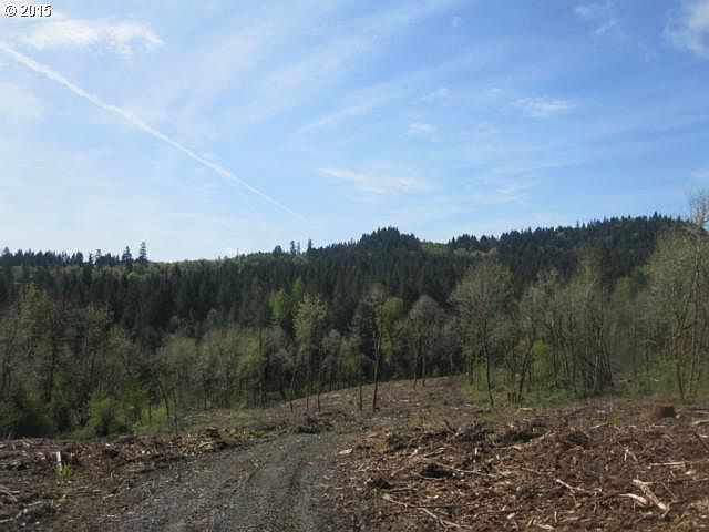2nd image of 40 Avenue