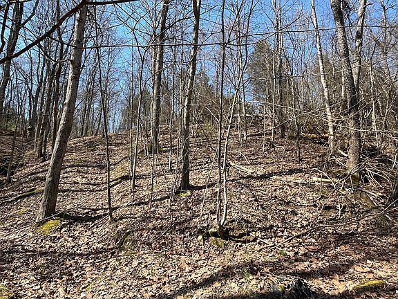 4th image of 3105 Gratz Rd #59 & 60