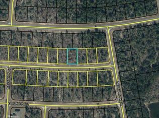 60 Dandelion Dr UNIT 6, Chipley, FL 32428