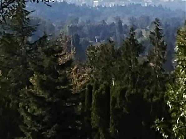 5th St SE, Puyallup, WA 98372
