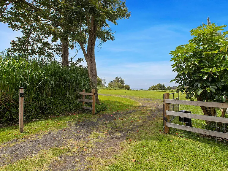 654 Kaupakalua Rd — Photo 21