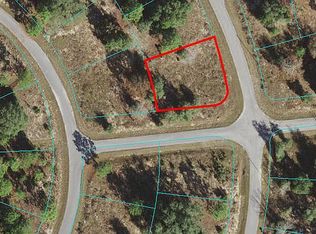 Malauka Circle Crse, Ocklawaha, FL 32179
