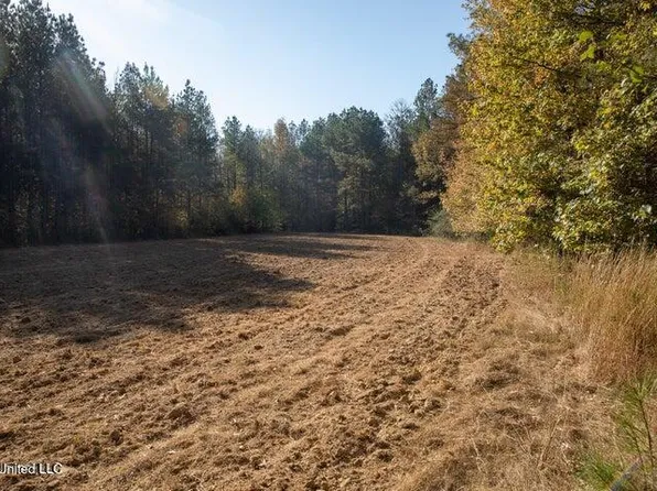 Vaughan Rd, Vaughan, MS 39179