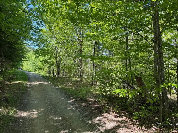 124 Greenhill Lake Rd, Bright, NB E6E 1E7