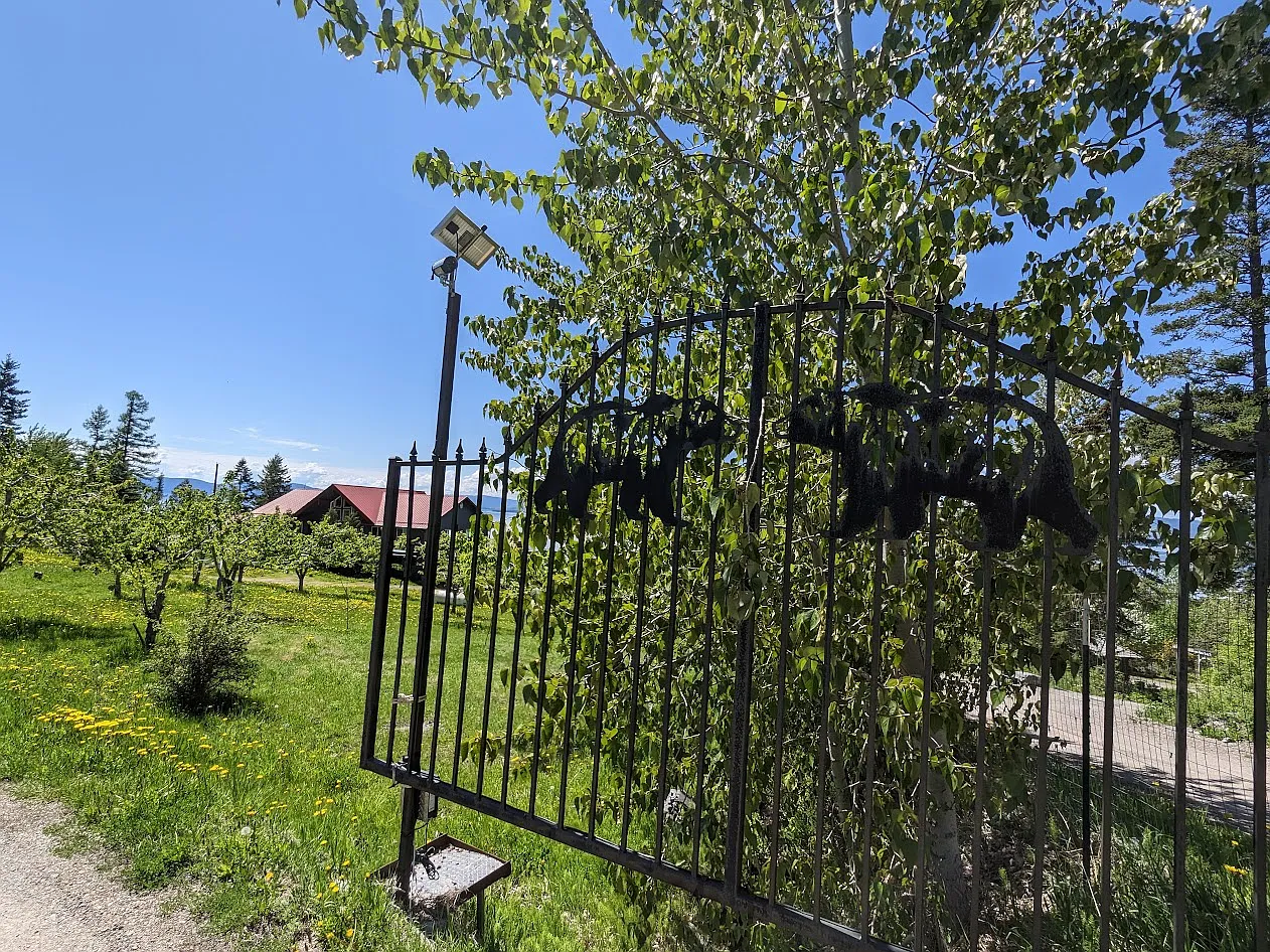 2 bed, $2,000 — Photo 3