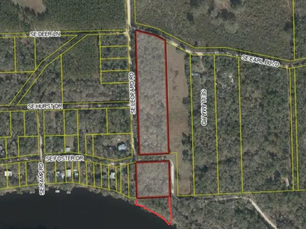 TBD SE Leopard Rd, Branford, FL 32008