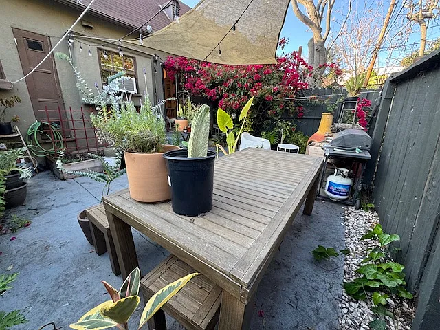 732 Silver Lake Blvd — Photo 13