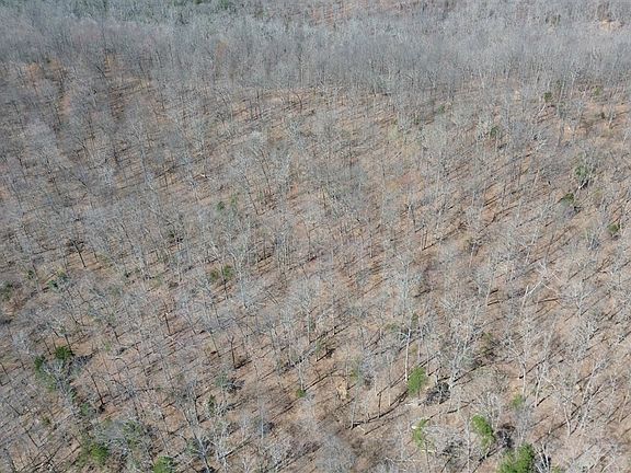 4th image of 92A Riverside Benleo Rd