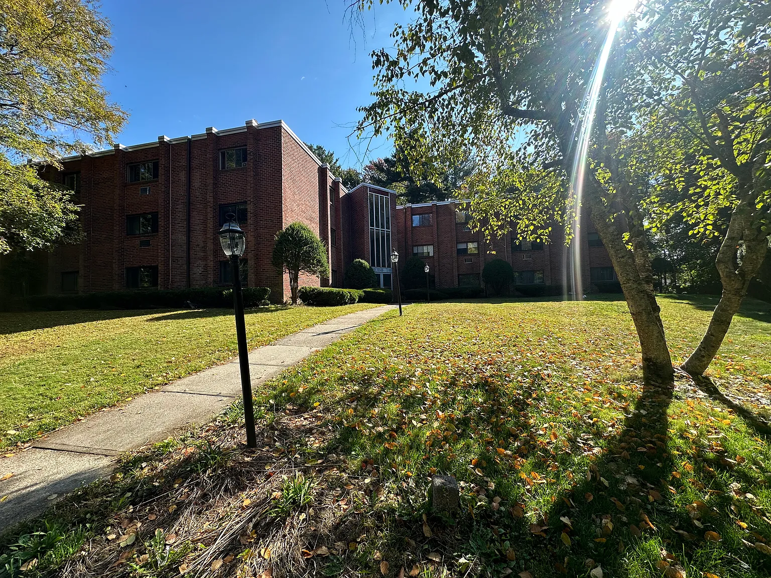 1 bed, 743 sqft, $1,950 — Photo 1