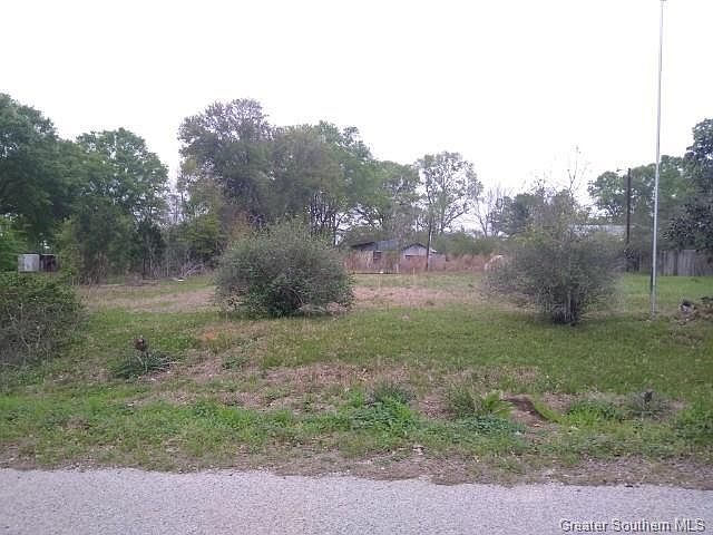 2nd image of 273 Huckleberry Ln
