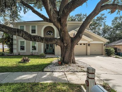 709 Grand Canyon Dr, Valrico, FL, 33594