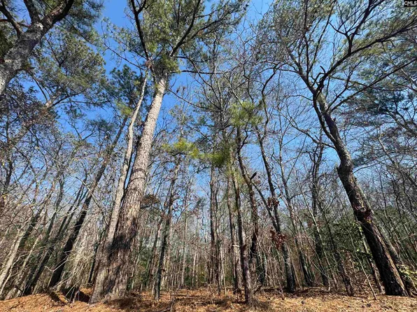 126 Folk Rd, Blythewood, SC 29016