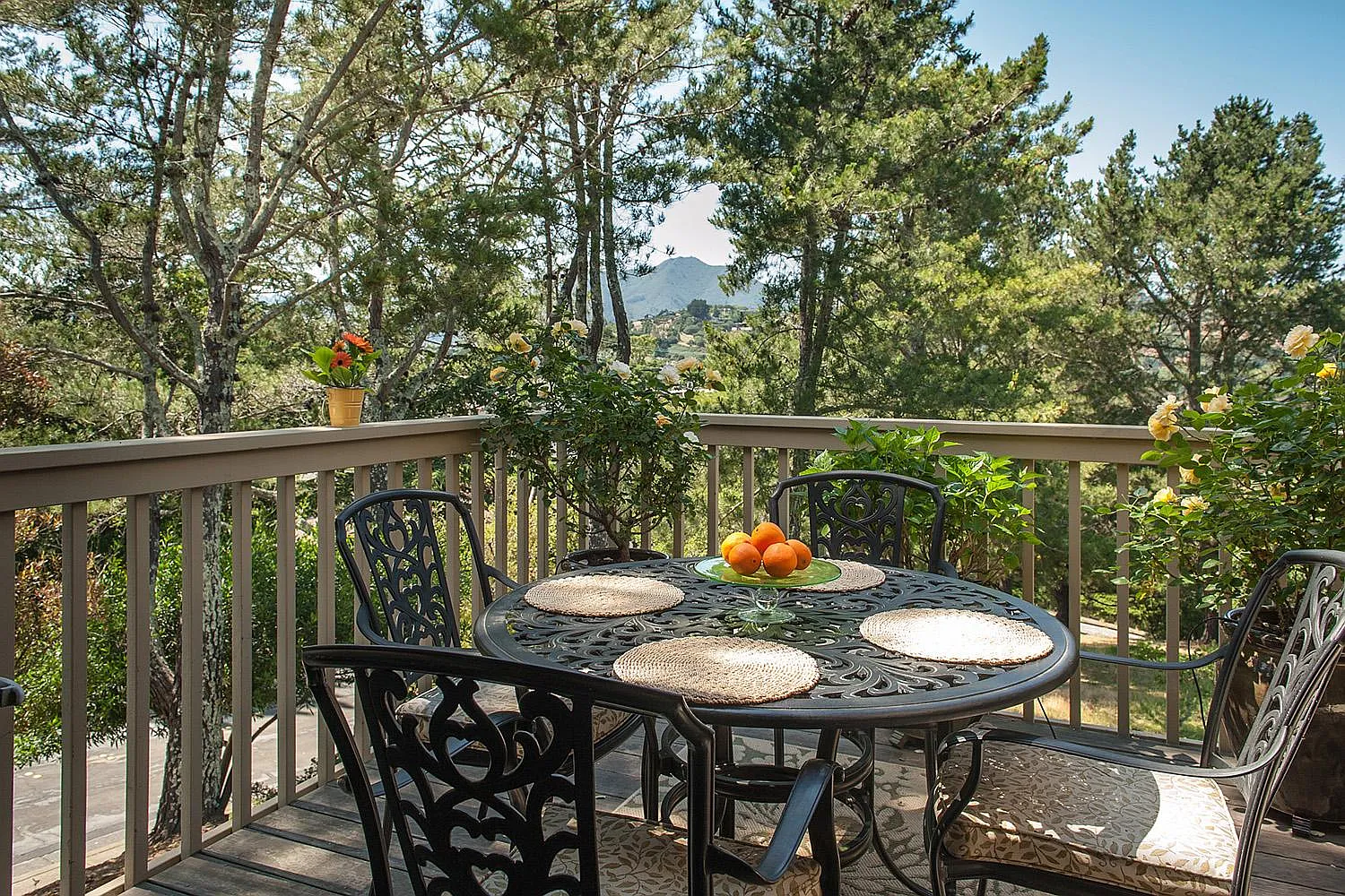 Kilmer Ct, Mill Valley — Photo 4