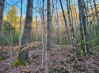 Township Road 166 Fall Branch Rd, Murphy, NC 28906