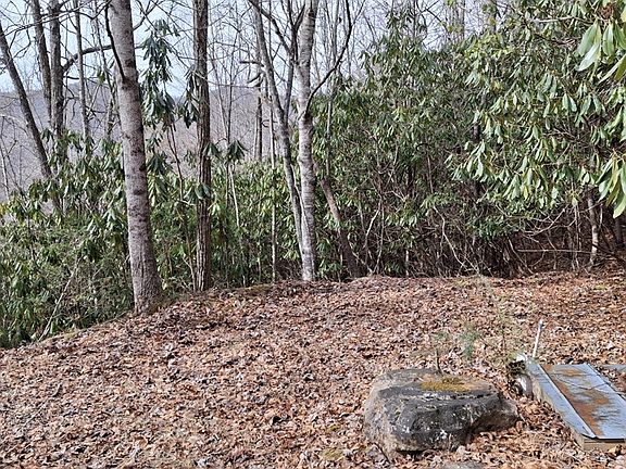 2nd image of 0 Lake Ridge Ln