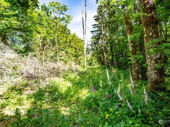 9829 351st Avenue SE, Snoqualmie, WA 98065