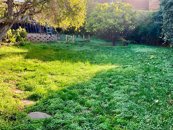 Where your garden could be that is already fenced to keep a potential rabbit from eating your lettuce and beets. Amazingly sweet seedless Orange tree next to it.