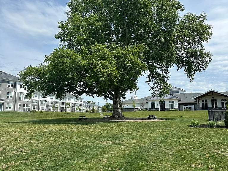 Haddon Point Mount Laurel — Photo 19