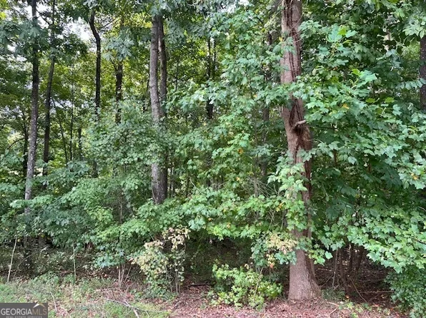 111 Falls Dr, Westminster, SC 29693
