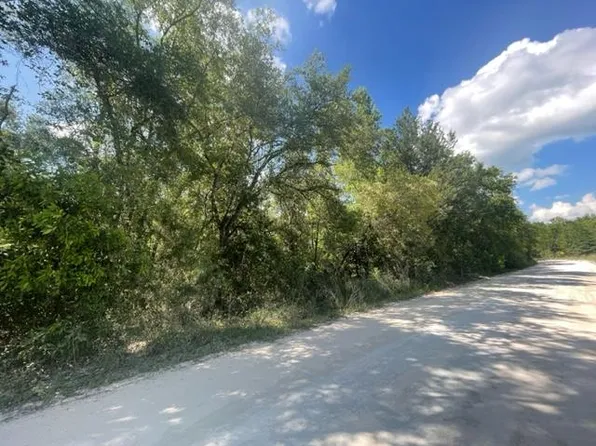 Lot 43 NW 6th St, Bell, FL 32619