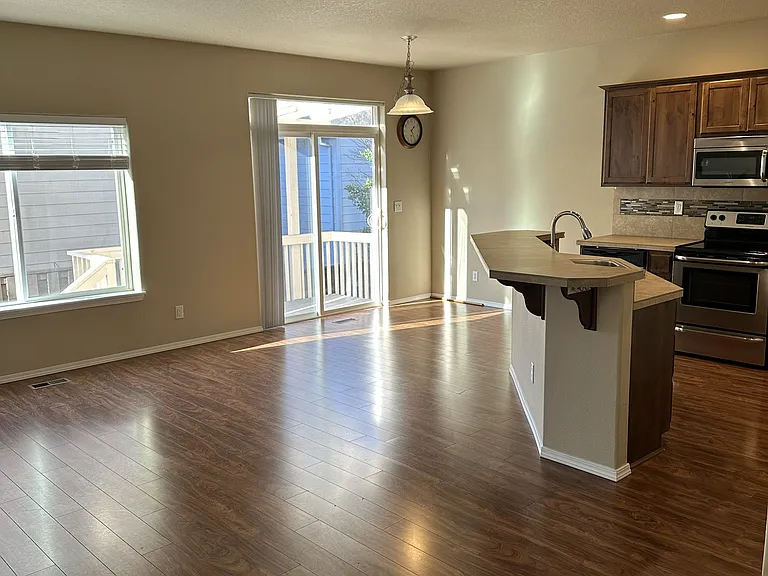 Livingroom and kitchen