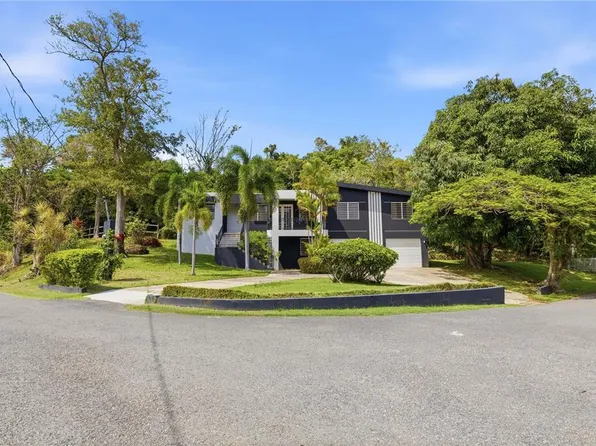 1 Sector Raman Roman, Mayaguez, PR 00680