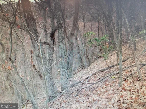 LOT 337 Nathaniel Mount Rd, Moorefield, WV 26836