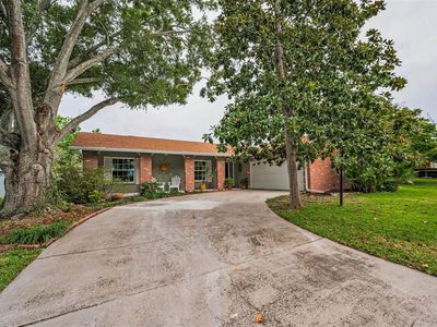 3111 Teal Ter, Safety Harbor, FL, 34695