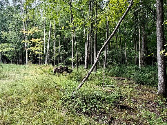 3rd image of LOT 6 Christopher Ln