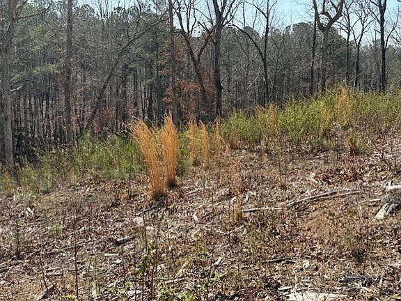 3rd image of LOT 339 Timber Trl