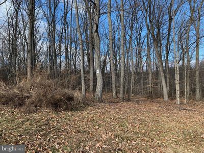 4943 Old Swimming Pool Rd, Frederick, MD, 21703