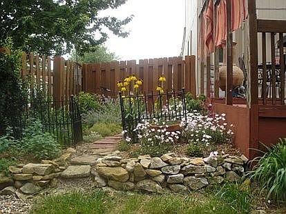 Back garden