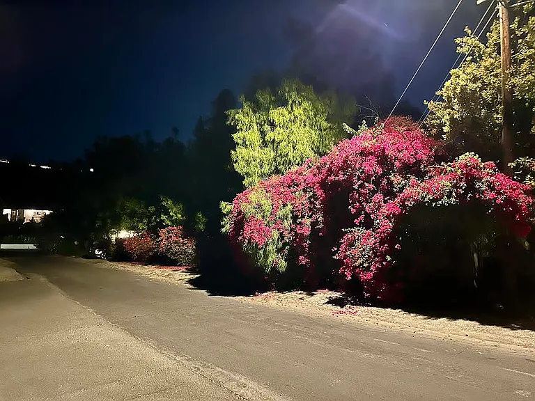 Side at Night