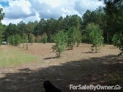 Cleared Pasture Area : This cleared area is half way back on the property and has city water.
