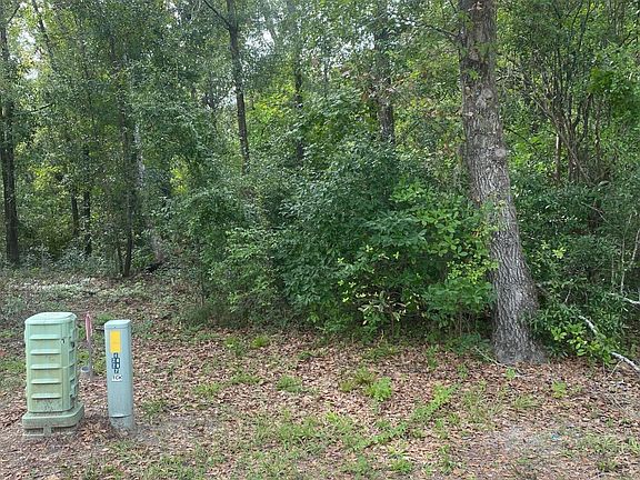 5th image of 7155 Old Stump Drive