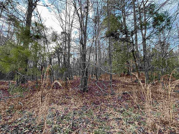 5th image of TRACT Seven Venus Rd