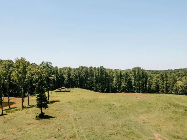 0 Mitchell Farm Rd, Oglethorpe, GA 30628
