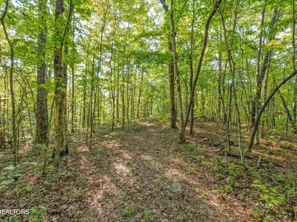 6637 Avens Ln, Tallassee, TN 37878