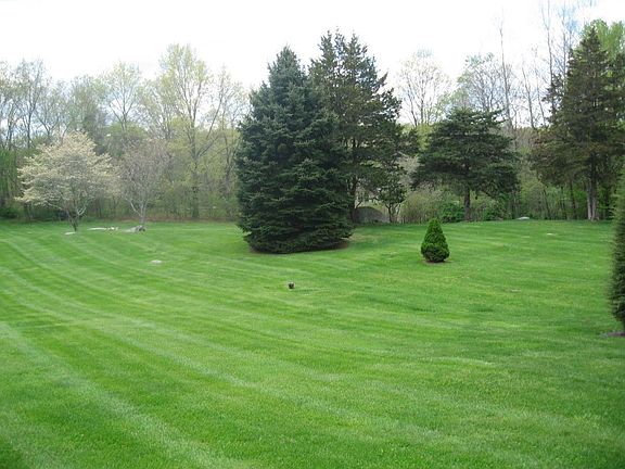 Expansive Open Meadows