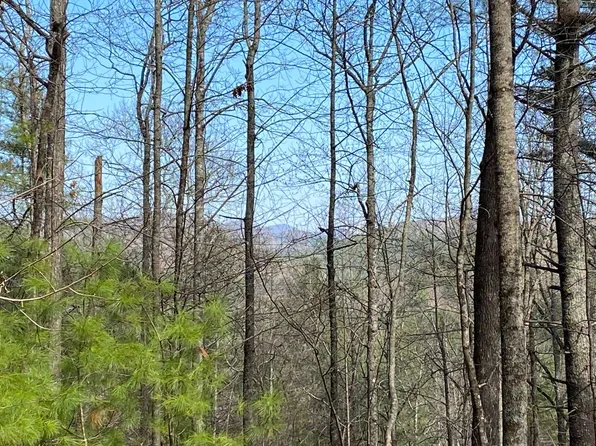 38 Ridgeview Run, Suches, GA 30572