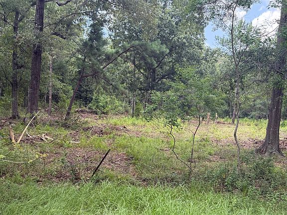 2nd image of 278 County Road 6502