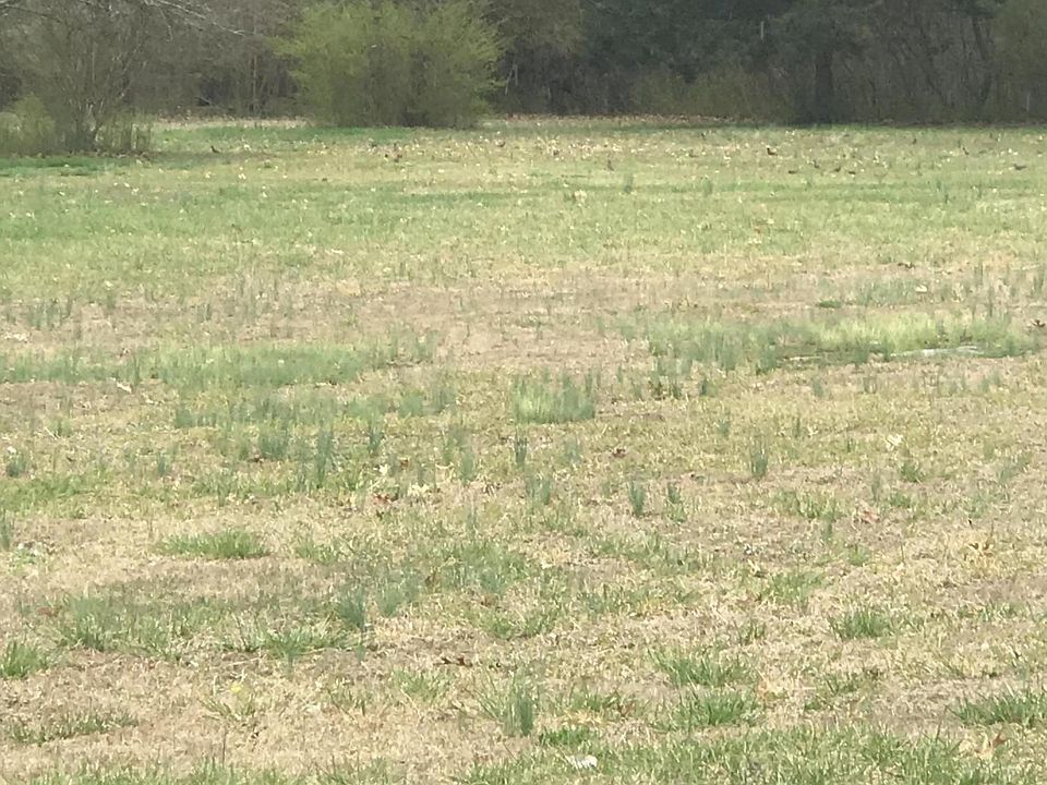 1st image of 0 Ooltewah Georgetown Rd
