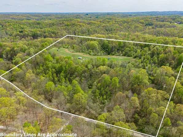 6085 Sealover Hollow Rd, Philo, OH 43771