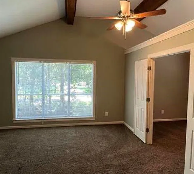 1030 Pine Timbers Dr — Photo 24