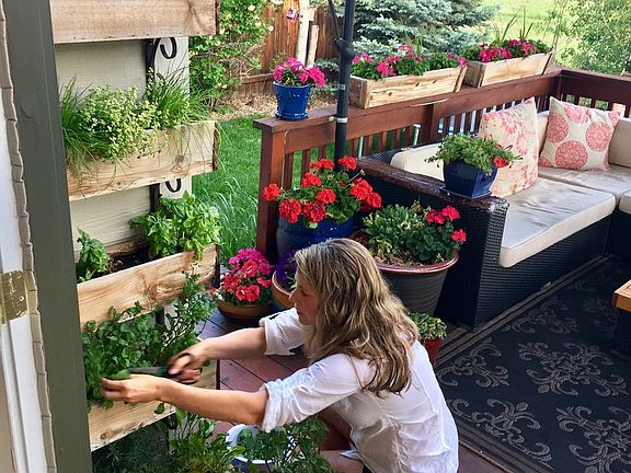 Herb garden