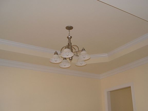 Trey ceilig in dining room